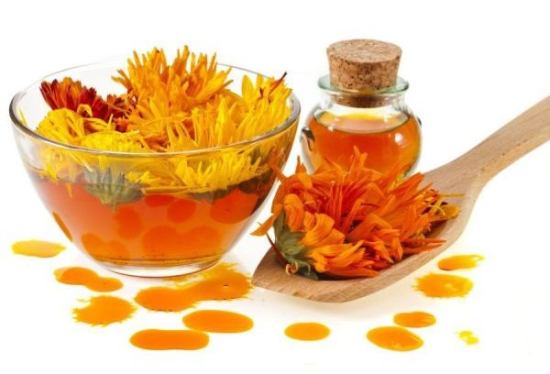 calendula