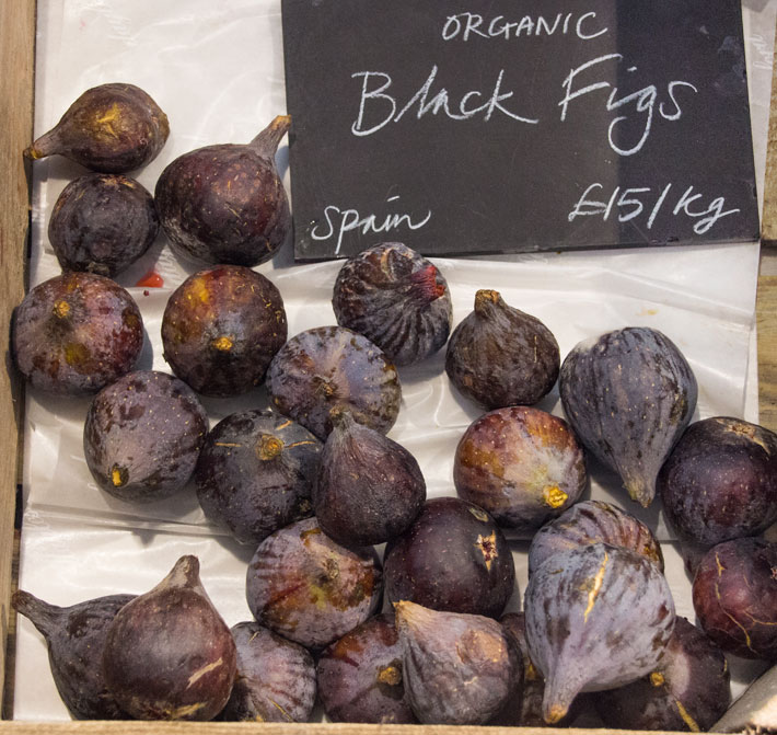 fig